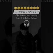 Кани Оша Мадинанинг Савоб Тола Кучалари