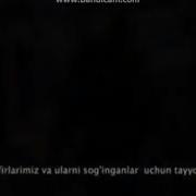 Мусофирларга Аталган Кушик Аллох Доим Барча Мусулмонларни Уз Панохида Сакласин Омин Аллоху Акбар