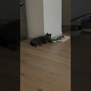 А Не Пора Ли Нам Подкрепиться