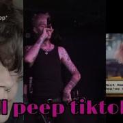 Lil Peep Speedart 144 Tik Tok