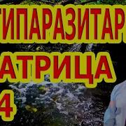 Матрица 4 Антипаразитарная