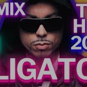 Dj Alligator 2021 Mix Megamix