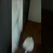 Дима Давай Мыть Попу Давай Мыть Попу Попу Мыть Будем