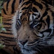 Одинокий Усталый Свою Силу Ищу