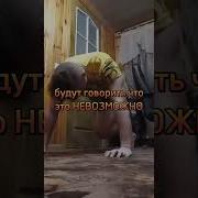 Историю Не Только Изучают Ее Еще И Пишут