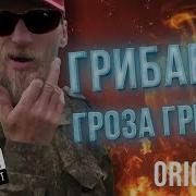 Я Грибабас Гроза Грибов Ремикс