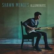 Three Empty Words Shawn Mendes