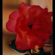 Stucke Im Volkston Op 102 Part 1 Robert Schumann