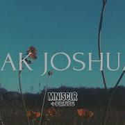 Zak Joshua Let The Light In
