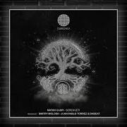 Matan Caspi Serengeti Dmitry Molosh Remix Clubsonica