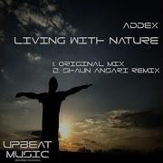 Living With Nature Shaun Ansari Remix