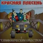 Красная Плесень Вступления
