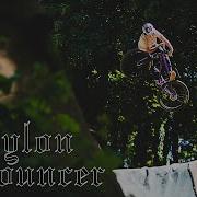 Babylon Bouncer