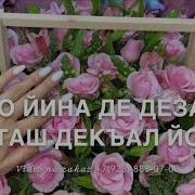 Дал Декъал Йойл Хьо Зулай
