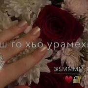Массо Йо1 Хьайха Хьегош