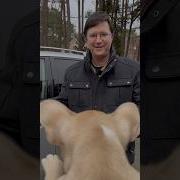 Chiot