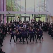 Flashbom Dane Project