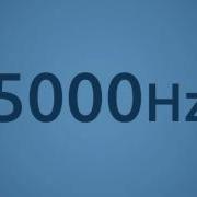 5000 Hz Test Tone Sonic Electronix