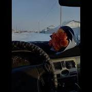 Мага Роза Доза