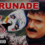 L N Shastry Karunade From Malla