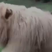Выходной Пиво Водка