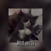 Моя Муза Speed