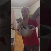 Брр Шкибиди Доп 5 Секунд