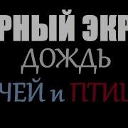 Дождь Ручей Птицы