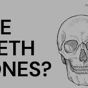 Teeth Bones