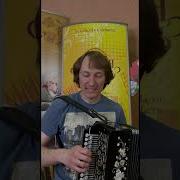 Гармонь Тульская Заказная