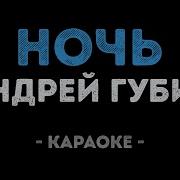 Андрей Губин Ночь Караоке