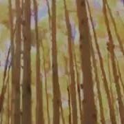 Хьехам Хал Хетар Дар