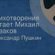 Читает Михаил Козаков Пушкин