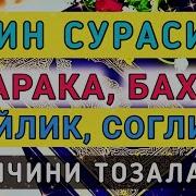 Куда Кучли Дувалар