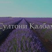 Султони Калбам Таджикская Песня Sultoni Qalbam Tajik Song