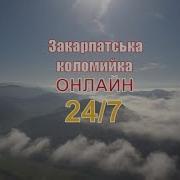 Коломийки Закарпатські