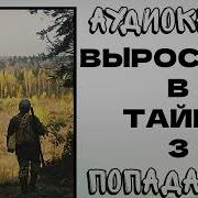 Аудиокнига Попаданцы Выросший В Тайге Книга 3