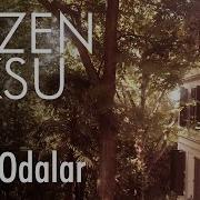 Sari Odalar Sezen Aksu Lyrics