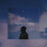 Wildest Dream Shalom Margaret Cover