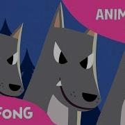 Night Animals