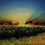 Freda Maybe Tronix Dj Remix
