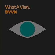 Dyvn Pause And Reflect