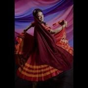 Namechenom Gole Ke Khar Dare Dilbar نميچنم گل كه خار داره دلبر