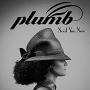 Plumb Say Your Name