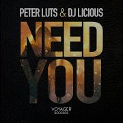 Dj Licious Need You Extended Mix