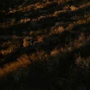 John Mark Nelson Shadow