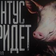 Worldbegemotkot Свинтус Придёт 3 Часть