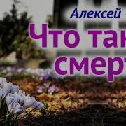 Осипов Жизнь И Смерть