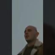 Шарик Найдешь В Ресторан Пойдешь