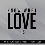 Mr Black And Blue Know What Love Is Radio Edit
